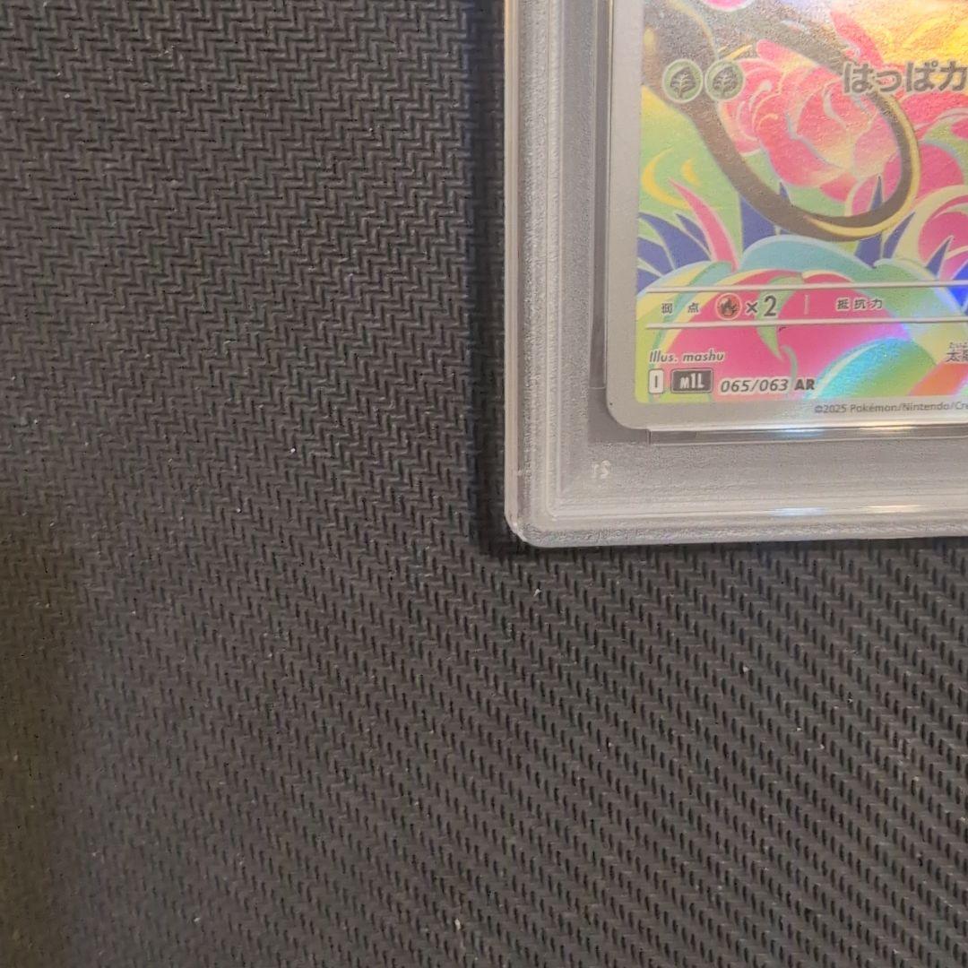 フシギダネAR とフシギソウPSA10　2連番