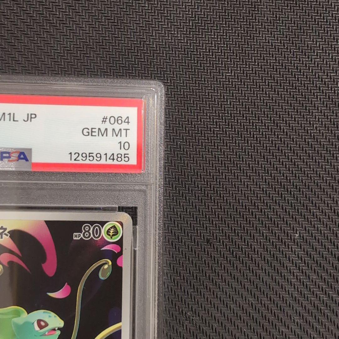 フシギダネAR とフシギソウPSA10　2連番