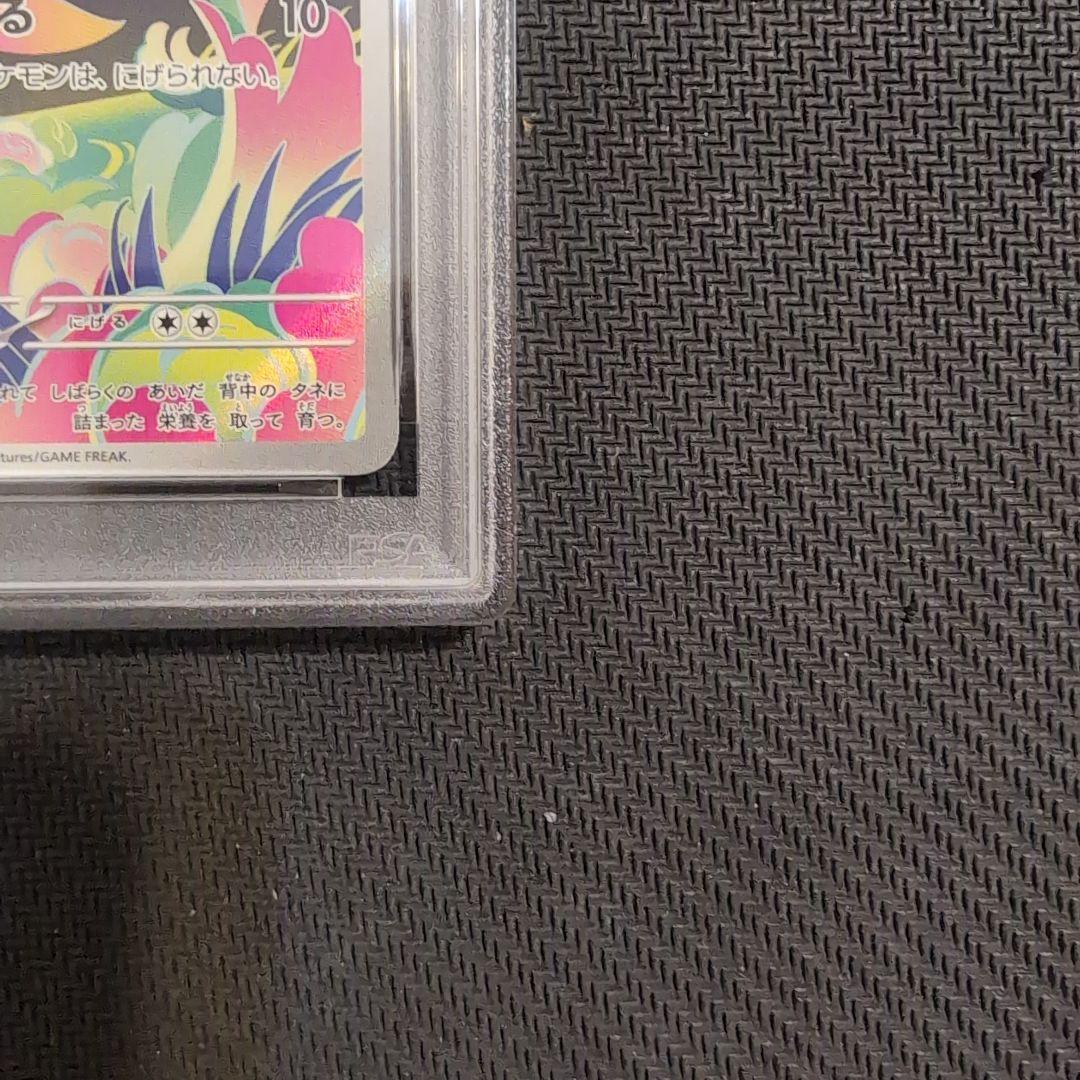 フシギダネAR とフシギソウPSA10　2連番