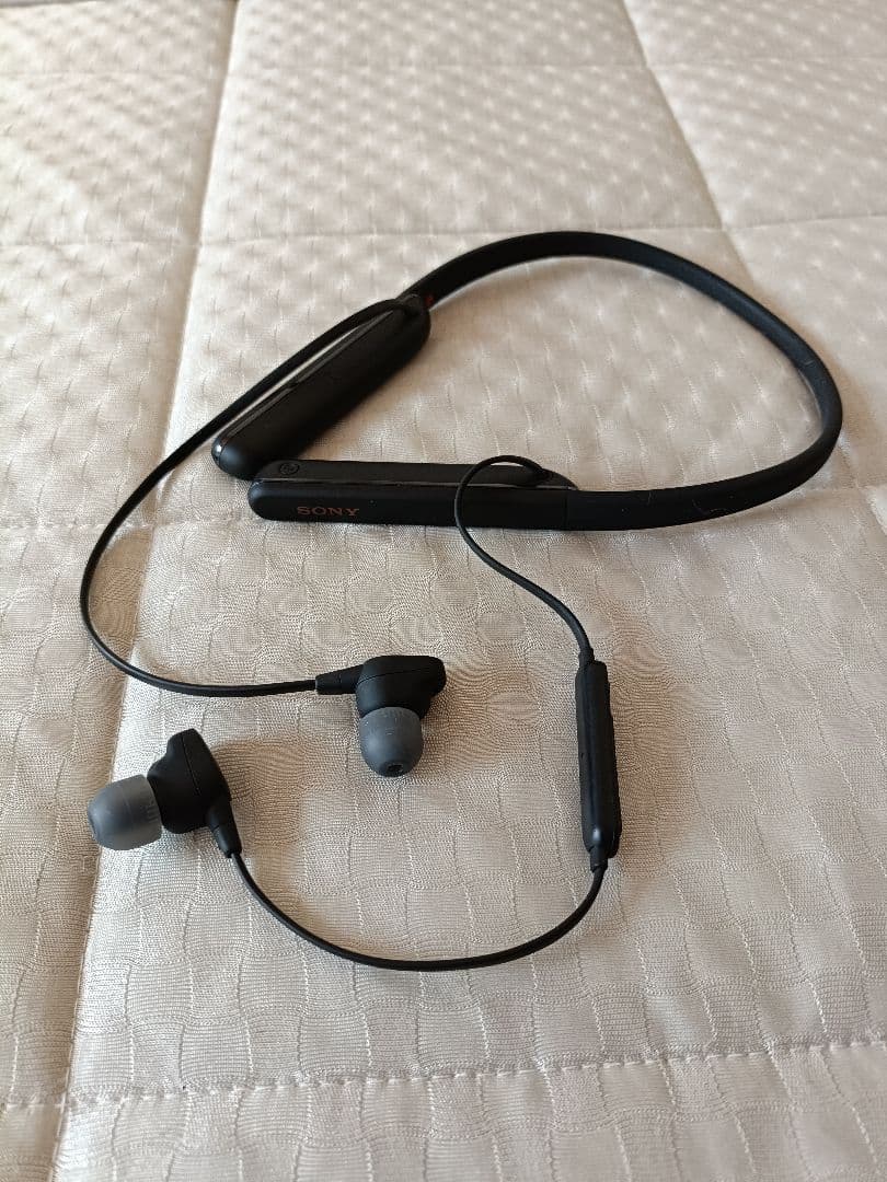 SONY ワイヤレスイヤホン ケース付き