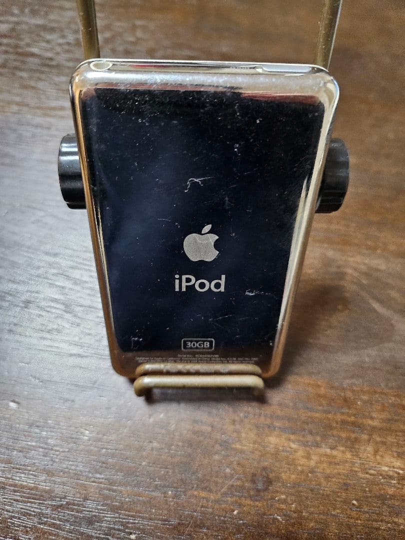 Apple iPod Classic 80GB 30GB まとめ売り