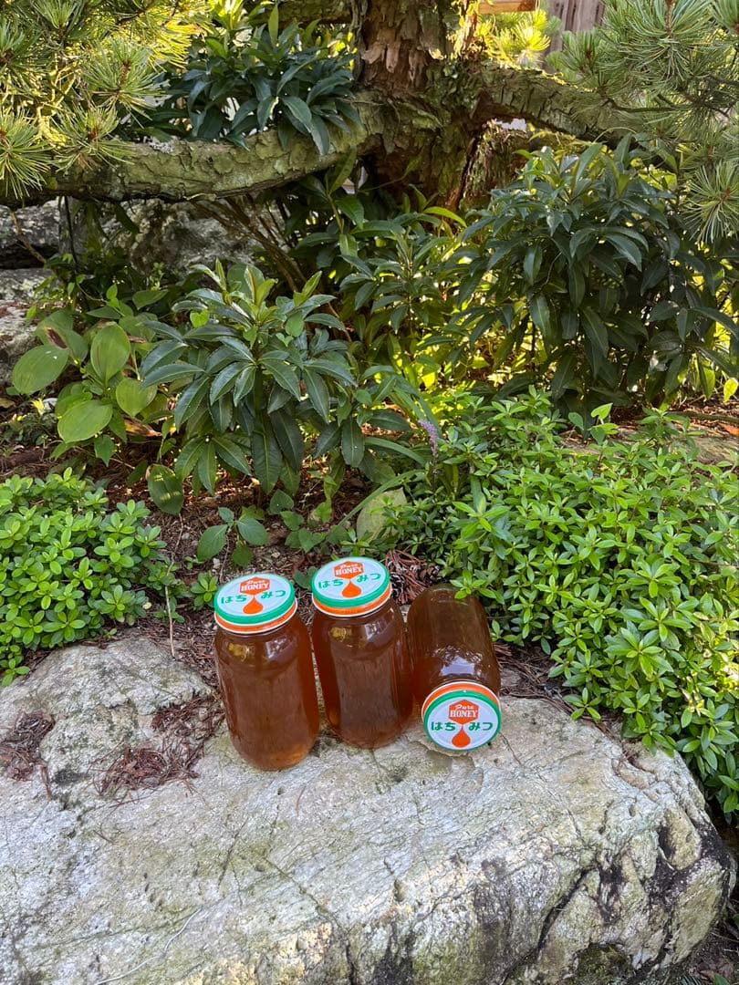 日本蜜蜂ハチミツ/蜂蜜/百花蜜/1kg×2本