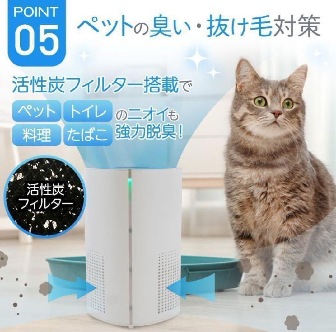 空気清浄機 小型 消臭 省エネ 花粉 脱臭機 たばこ 除菌／