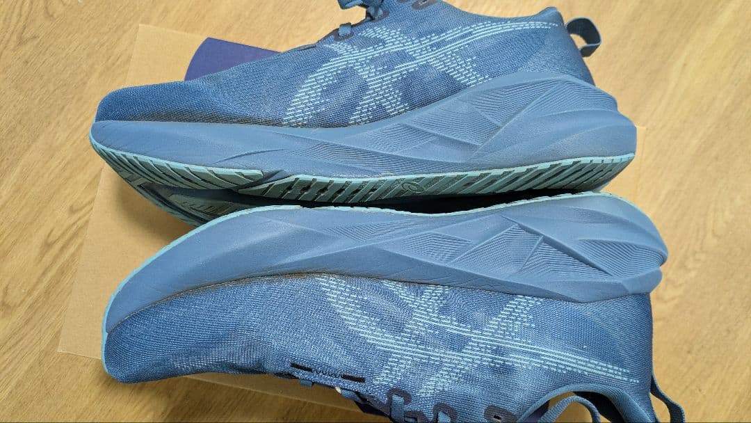 ASICS NOVABRAST5／アシックス ノヴァブラスト5 27.5