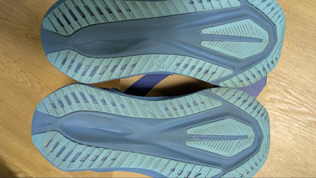 ASICS NOVABRAST5／アシックス ノヴァブラスト5 27.5