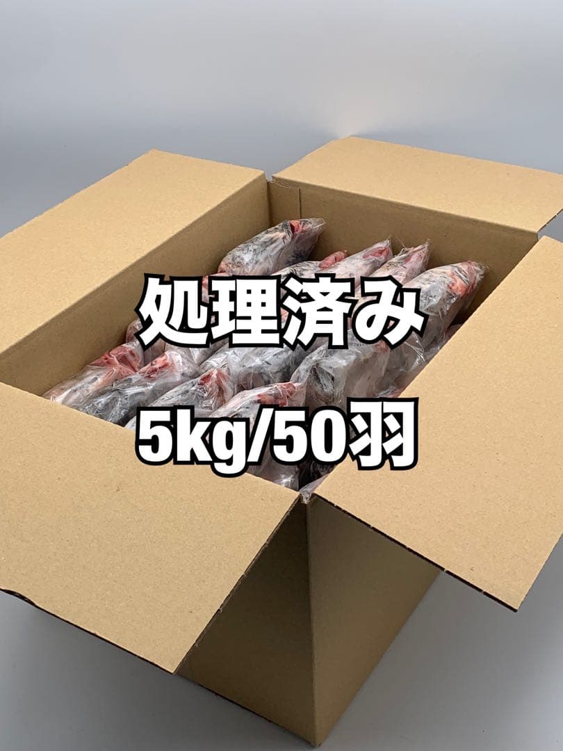 処理済み冷凍うずら（5kg/50羽）【送料込】