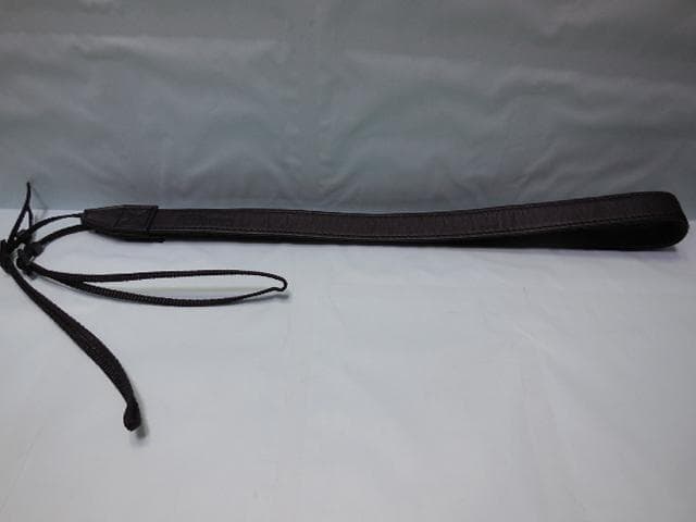 Nikon COOLPIX A900 35倍光学ズーム 4K