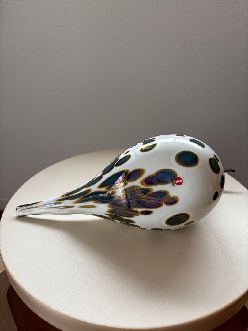 イッタラバード　Spotted Sandpiper SSKK 2006 傷あり