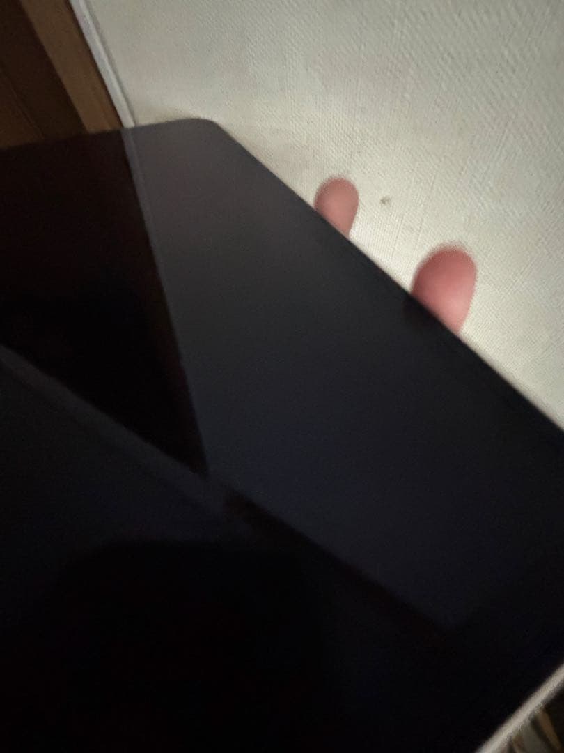 ipad mini6 64GB 水没　ジャンク