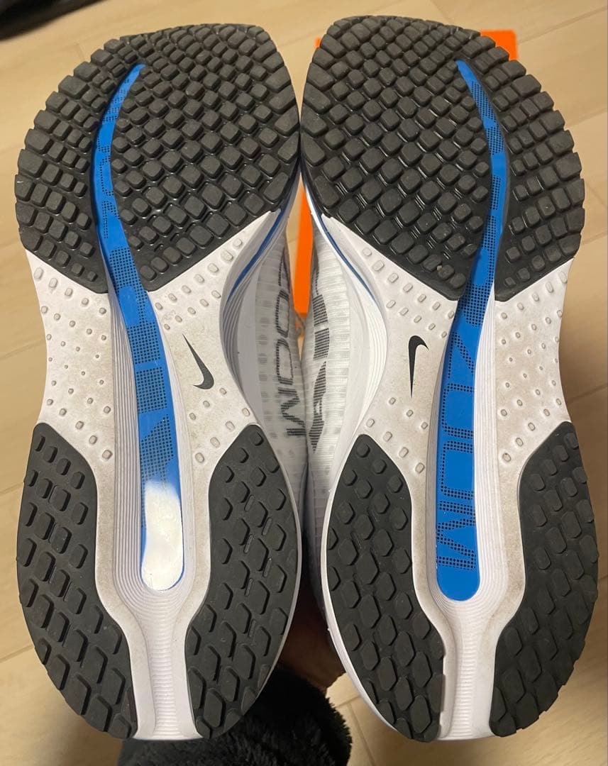 NIKE ペガサスプレミアム　25.5cm