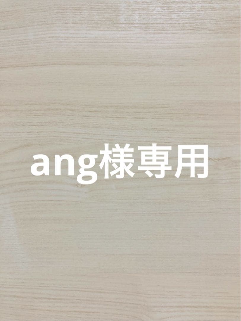 その他 ang