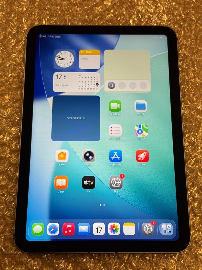 iPad mini 8.3インチ 第6世代 256GB グレイ simフリー