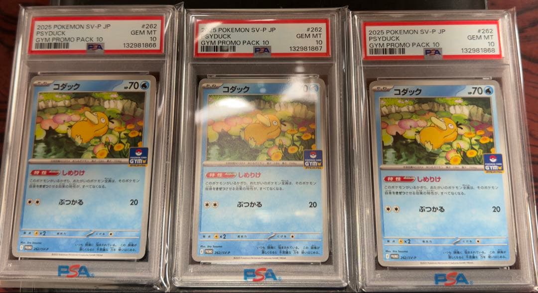 【PSA10】3連番　コダック ジムプロモ しめりけ 262/SV-P