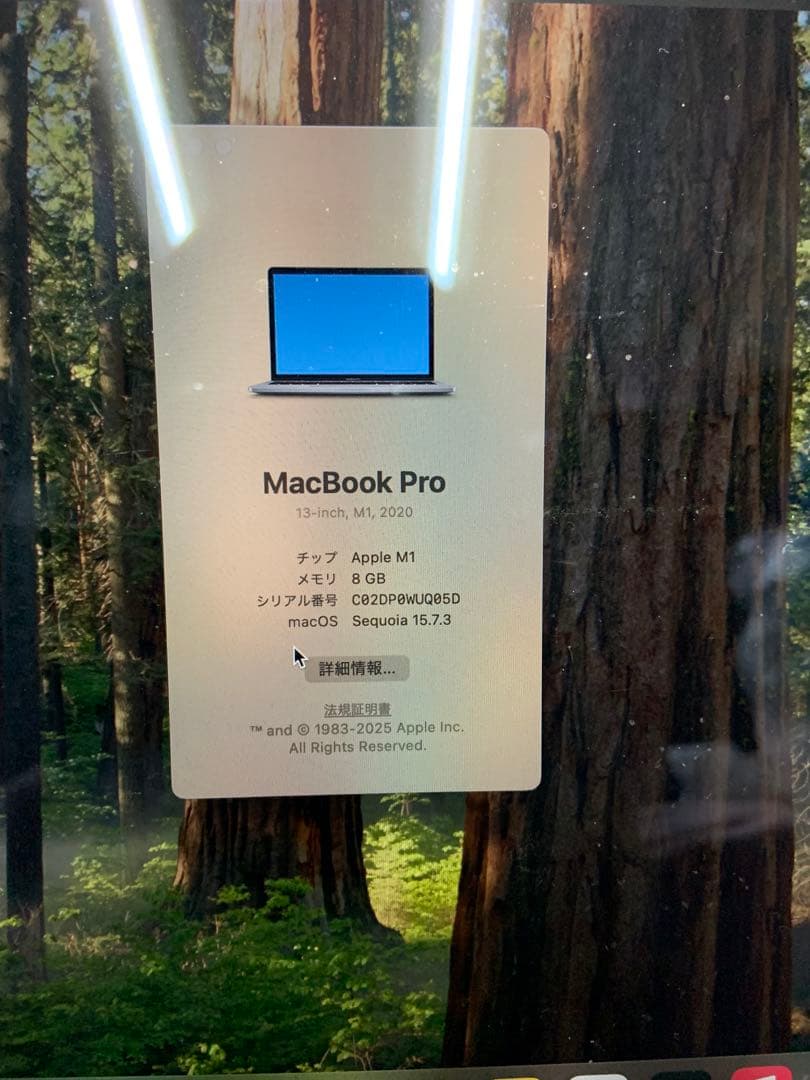 こ*＠様 MacBook pro シルバー 充電器付き