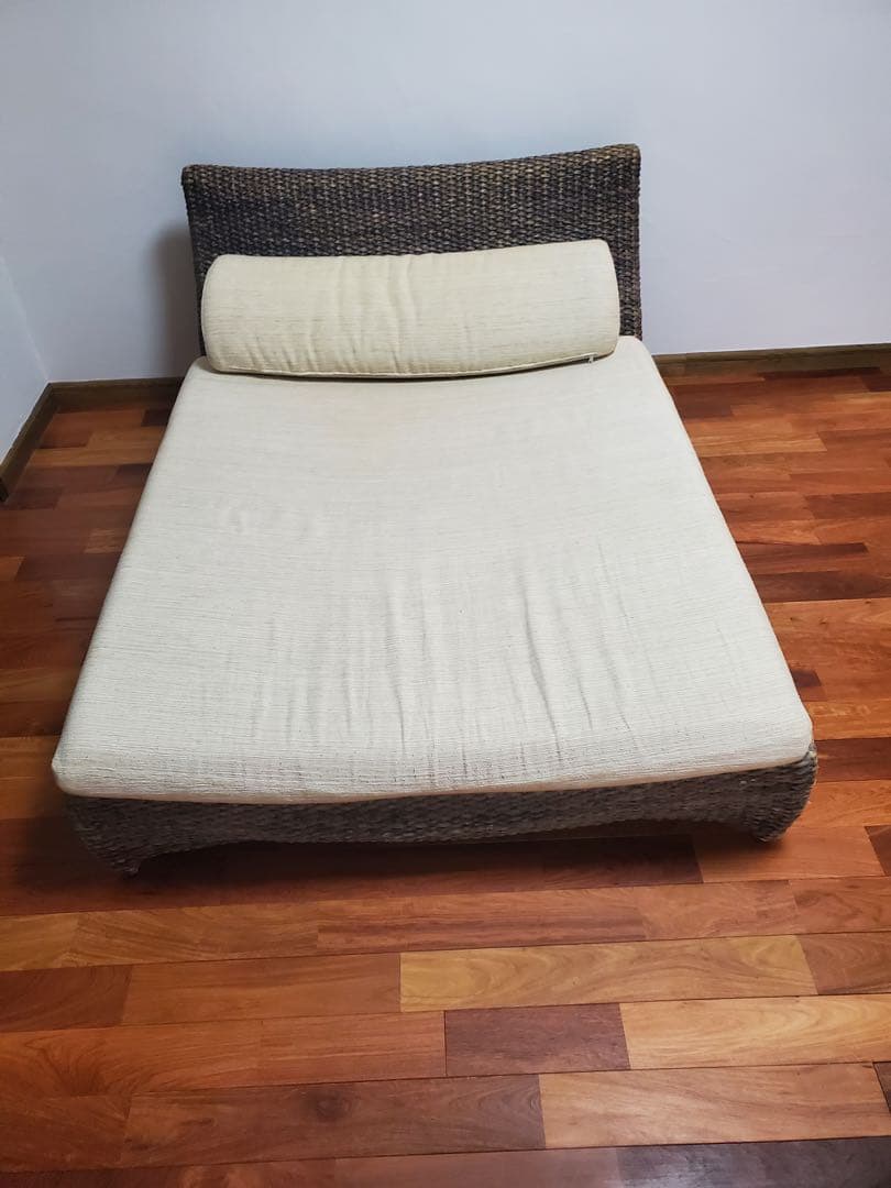 値下げ　ウォーターヒヤシンス　ヨタカ　DALAI SPA