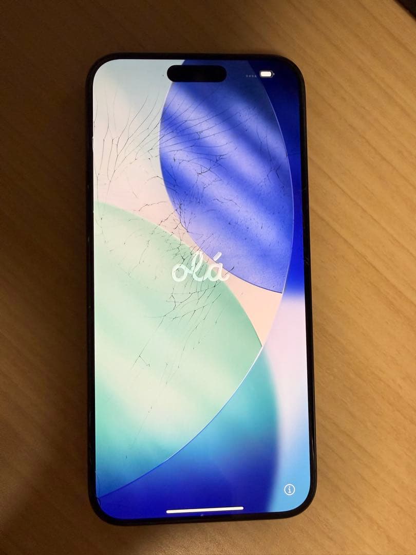 iPhone 15 Pro Max｜256gb｜SIMフリー版