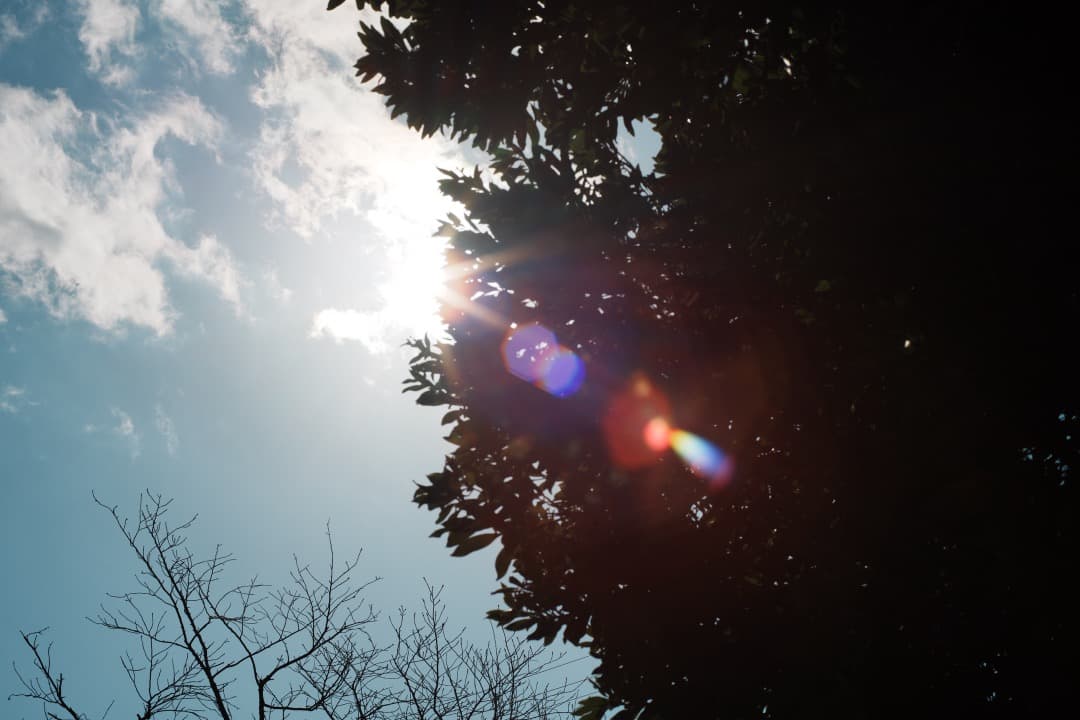 【美品】動作◎ オリンパス G.Zuiko auto 50mm F1.4 269