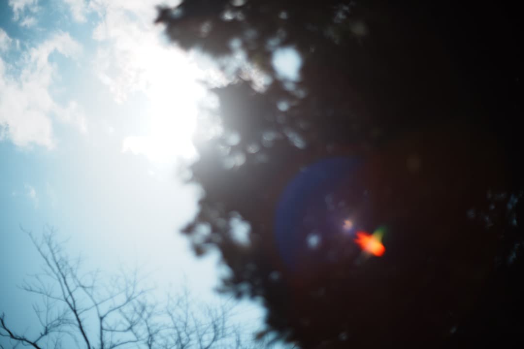 【美品】動作◎ オリンパス G.Zuiko auto 50mm F1.4 269