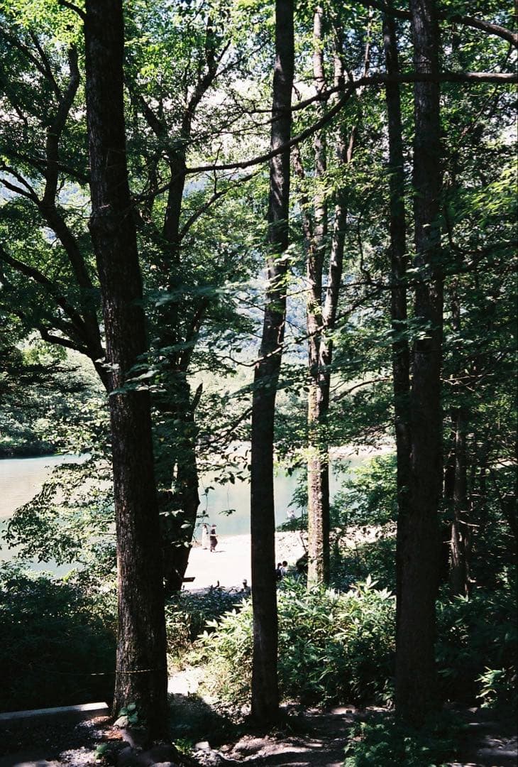 leica minilux フィルムカメラ E02