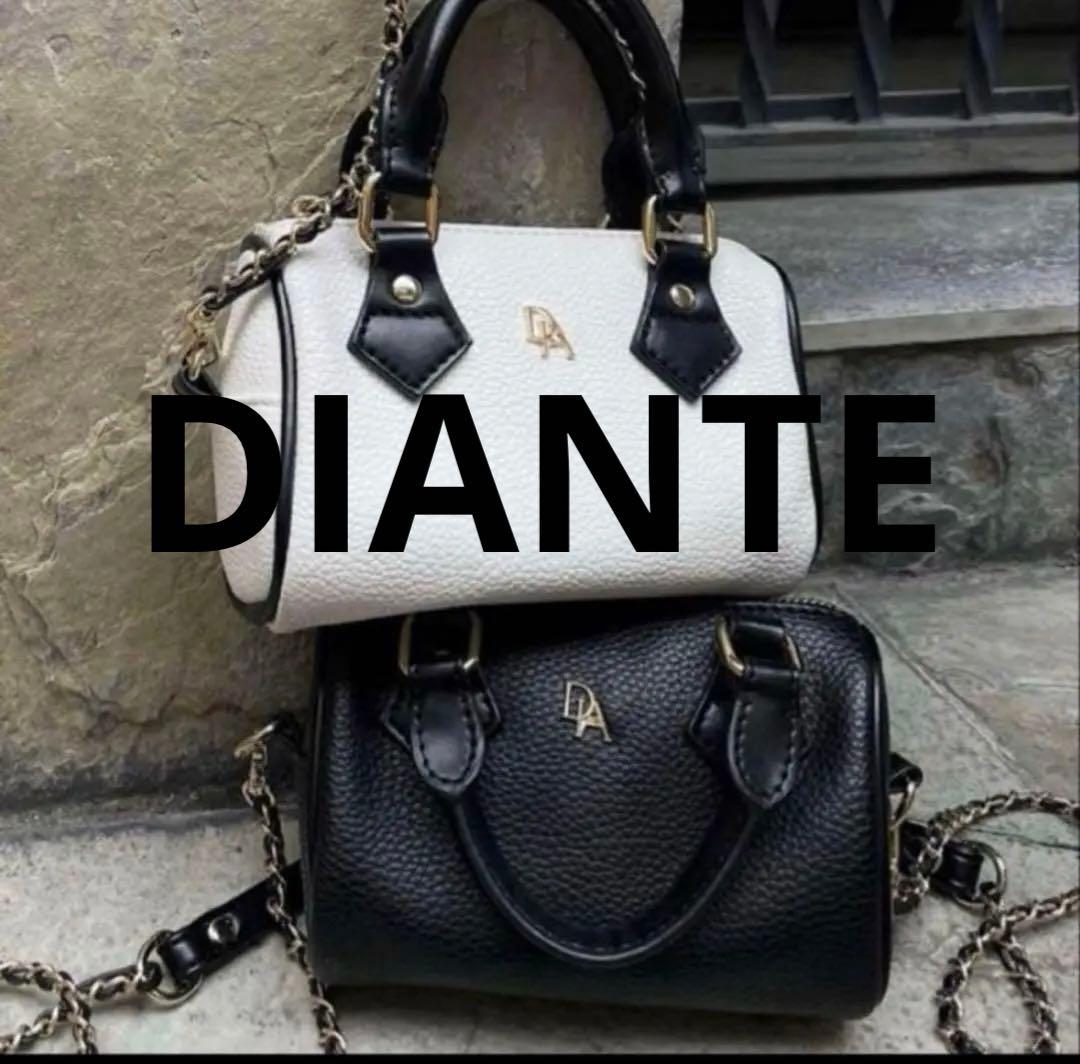 DIANTE MINI BOSTON SHOULDER BAG 黒