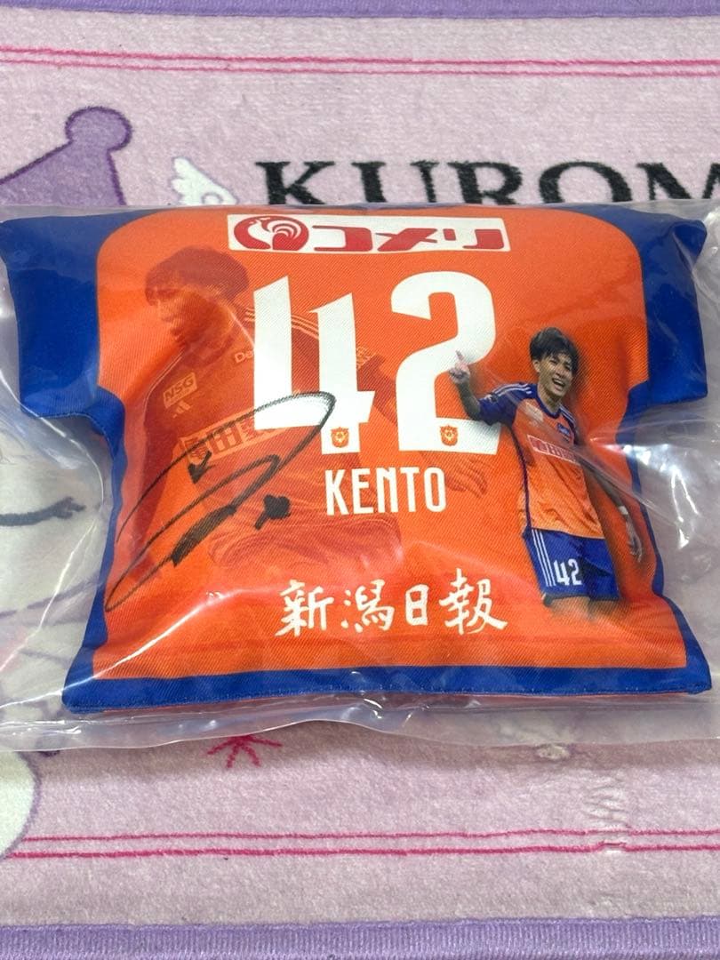 アルビレックス新潟 ☆ 橋本健人 直筆サイン入りクッション