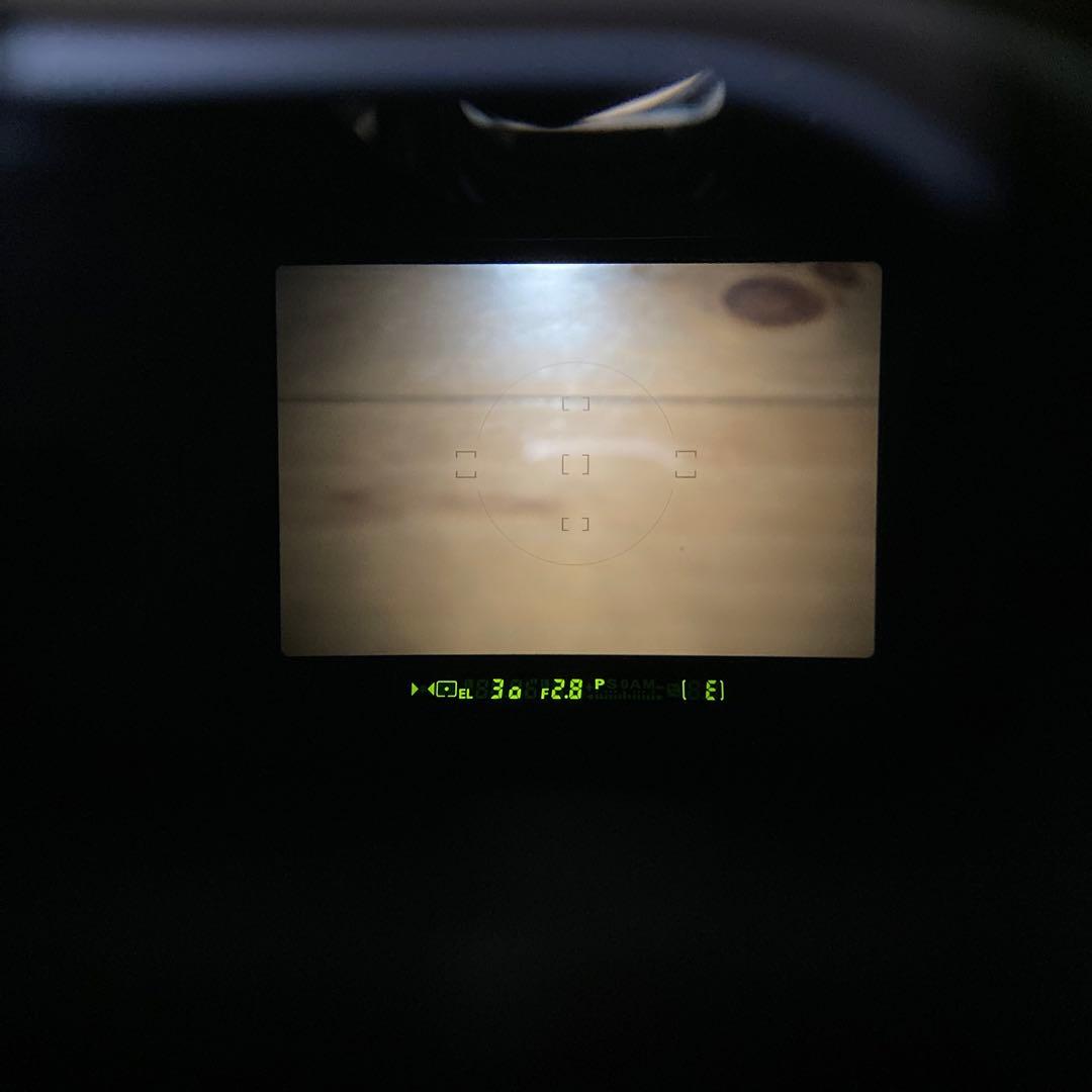 NIKON F100 フィルムカメラ 一眼レフ（新品電池BOX）