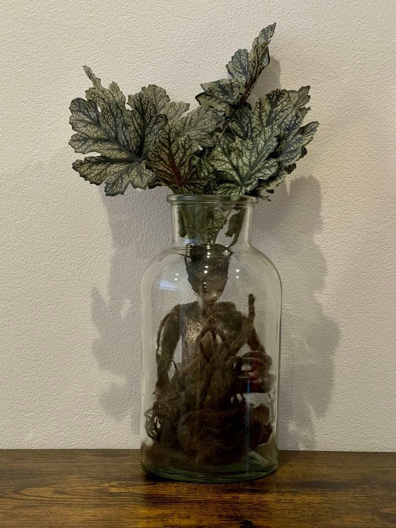 創作人形・ウーマンドレイクの標本「根を持つ者」