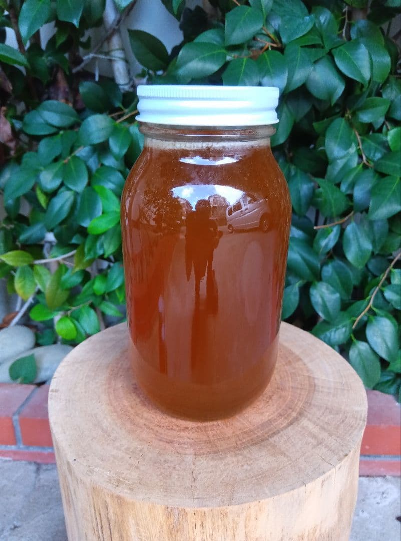 ニホンミツバチはちみつ　南国土佐の百花蜜　無添加　無加工　たれ蜜