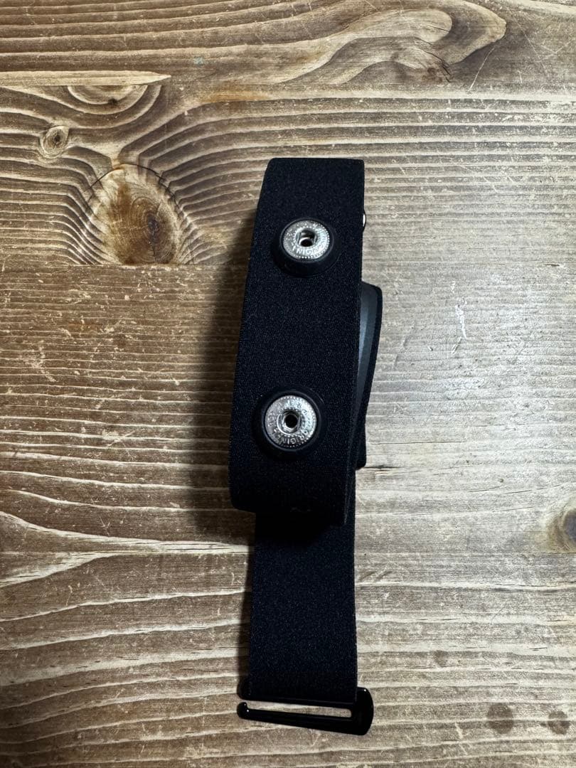 ポラール Polar H10 N 心拍センサー 心拍計 ランニング トレーニング