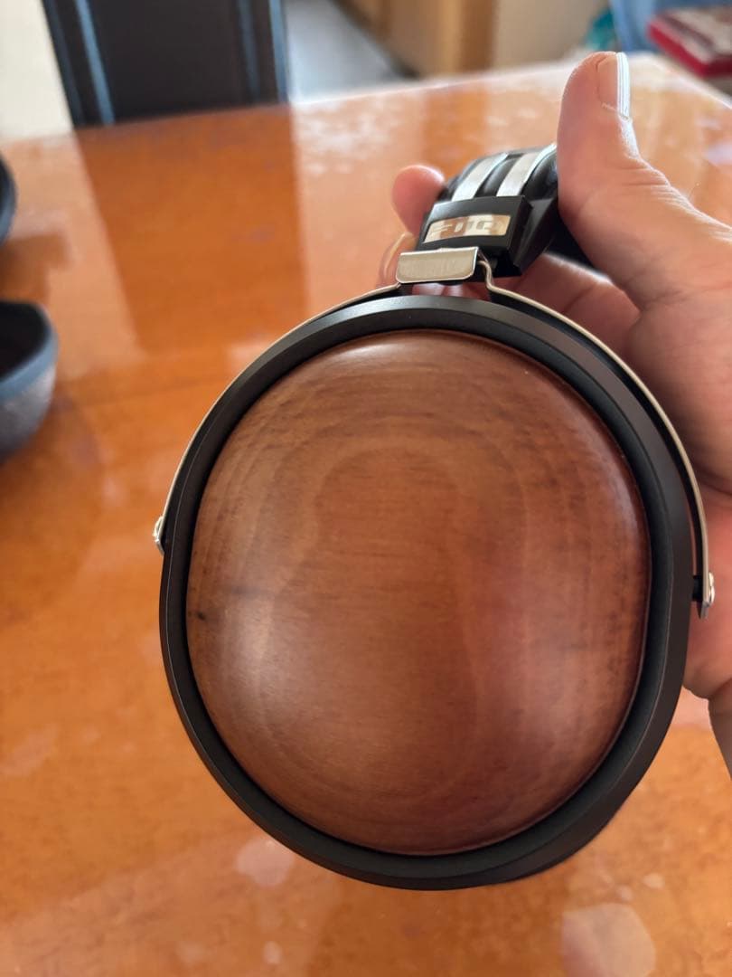 FIIO FT1 密閉型 有線ヘッドホン 美品 4.4mm 3.5mm 欠品なし