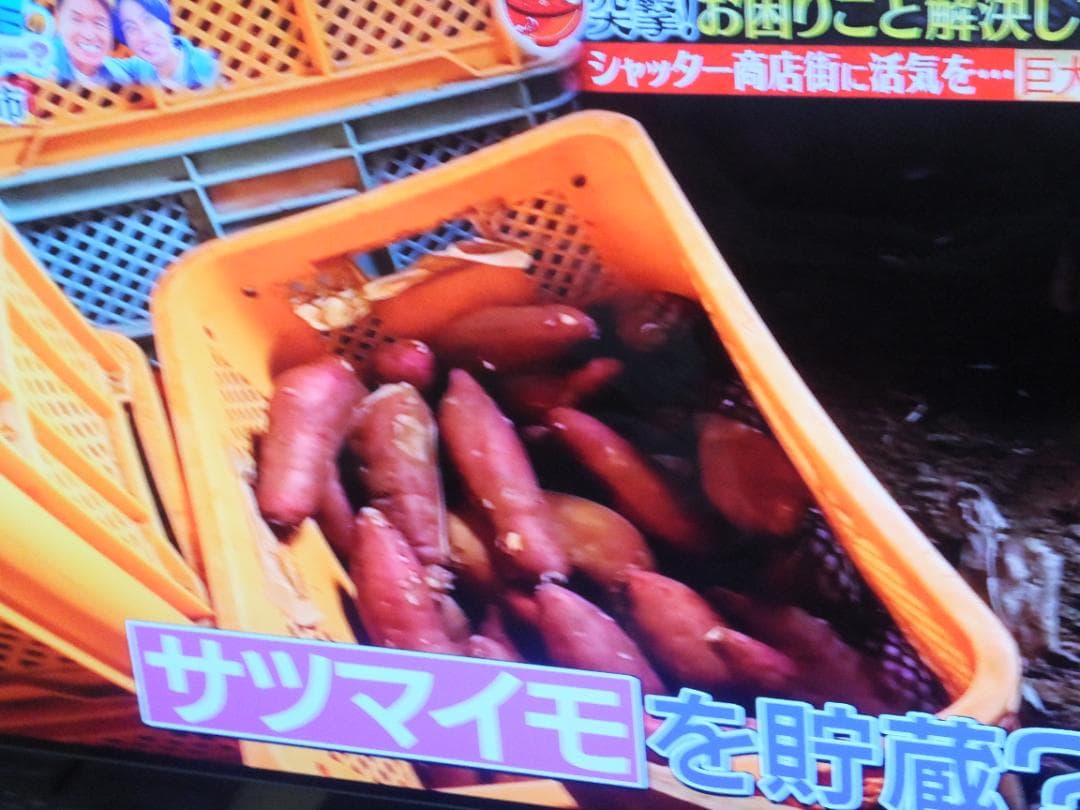 FUJIFILM F1000EXR 動作品