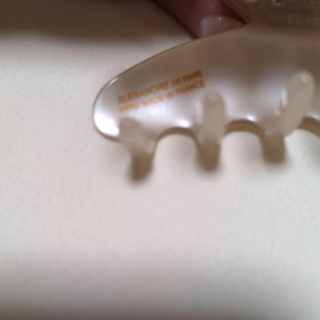 Alexandre de paris リボン ヘアクリップ