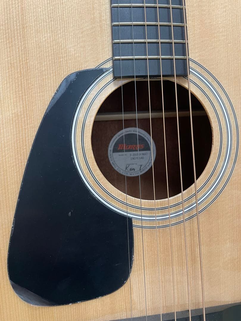 Morris アコースティックギター 6弦 F-350LH レフトハンド