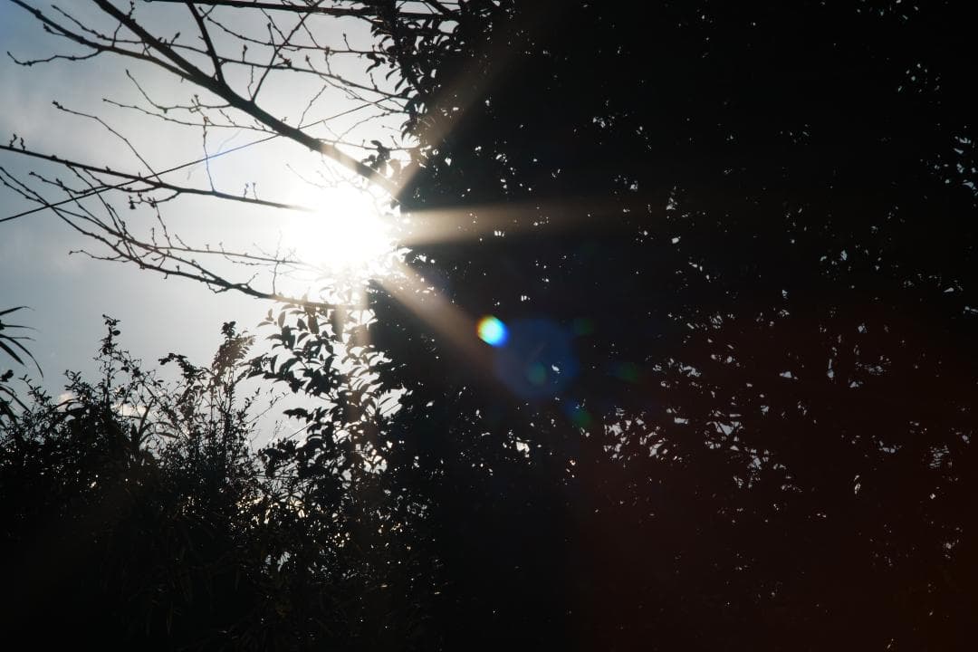 【整備＆テスト済】Canon New FD 135mm f2.8 054