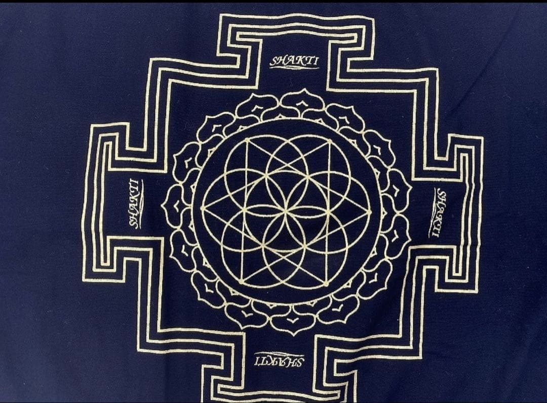 【美品】シャクティマット正規品 ブラック