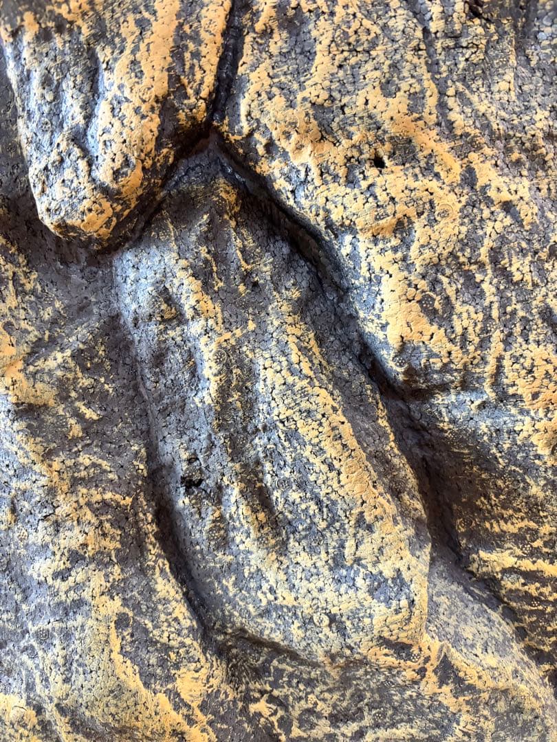 グラステラリウム3045 ➕保温球