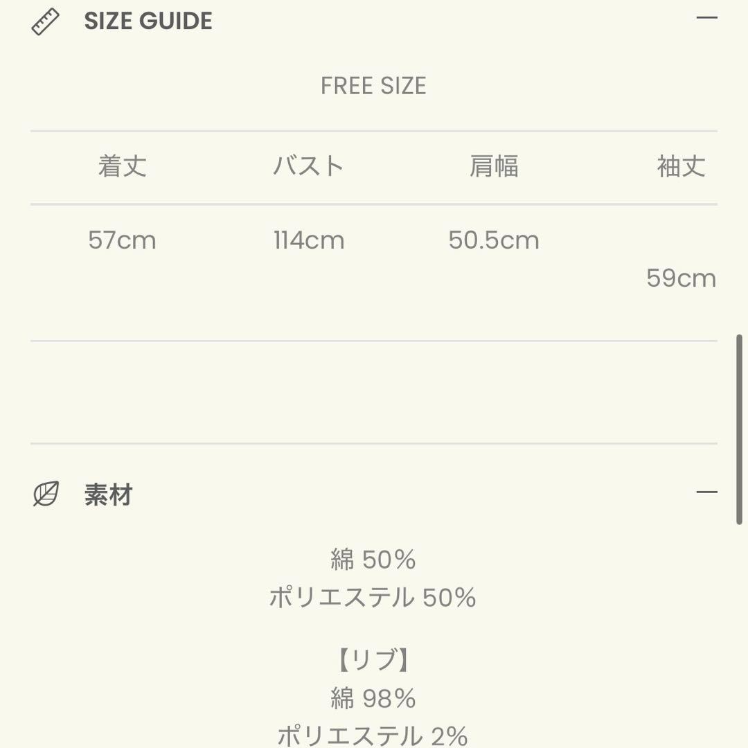 アリソンブラウン　紗栄子　ディズニー　Disney ミッキーマウス　パーカー