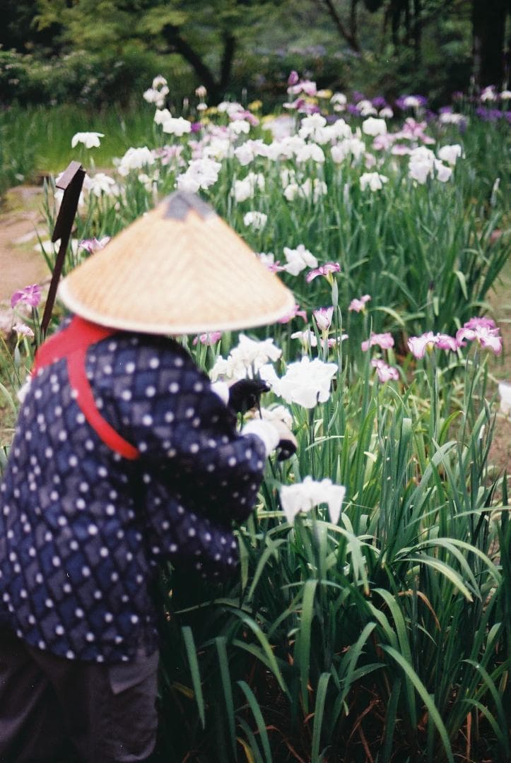 Nikon F5 50周年記念モデル / AF Nikkor 50mm F1.4