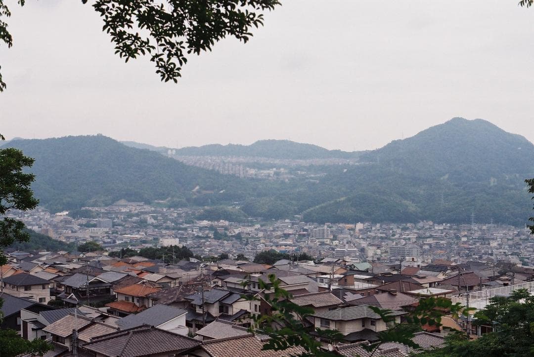 Nikon F5 50周年記念モデル / AF Nikkor 50mm F1.4