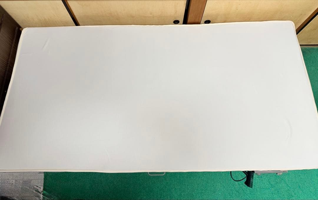 ATEX 電動リクライニングベット　イズミン