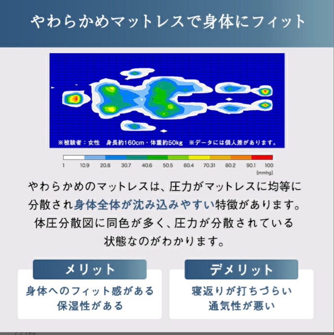 ATEX 電動リクライニングベット　イズミン