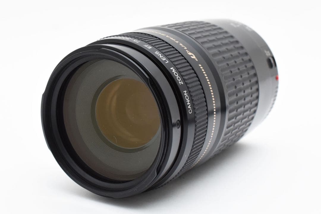 デジタル一眼レフカメラCanon EOS 6D Mark II望遠レンズセット