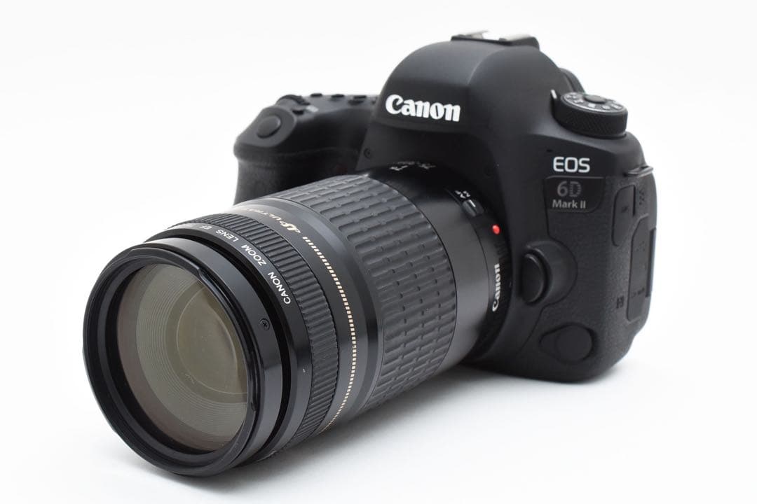 デジタル一眼レフカメラCanon EOS 6D Mark II望遠レンズセット
