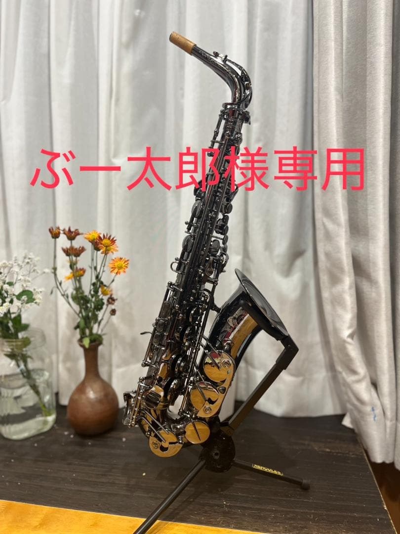 【ぶー太郎】Cannonball A5-B Big Bellアルトサックス