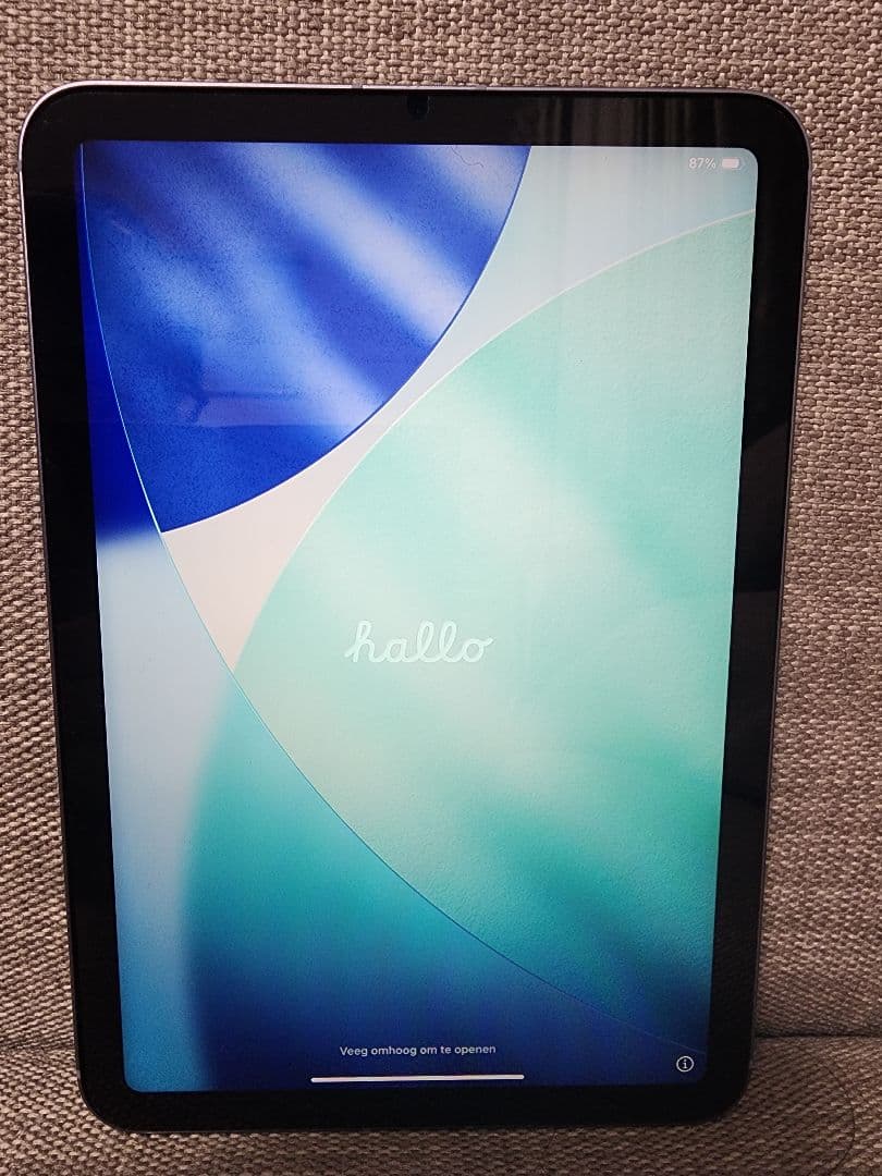 iPad本体 iPad mini6 WiFi+Cellular 256GB