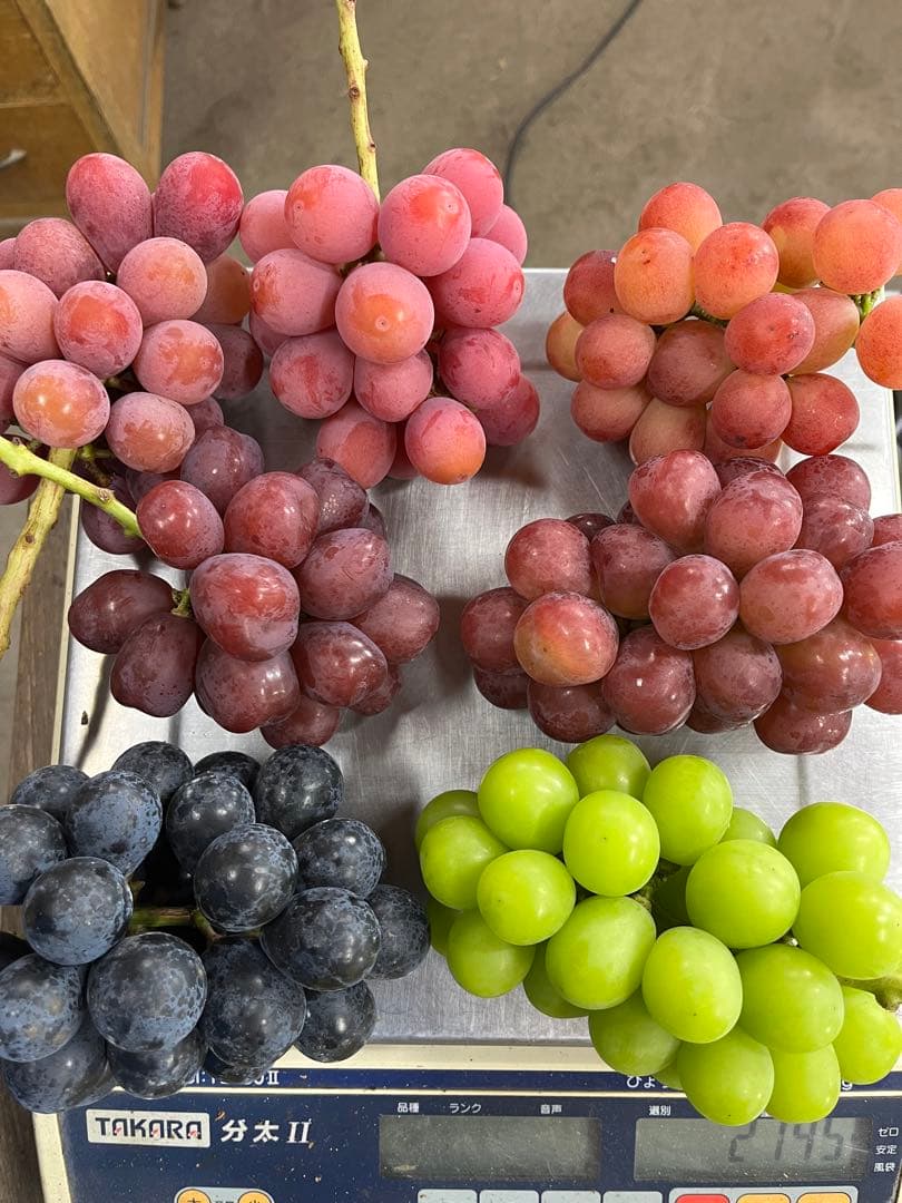 山梨県産　富士の輝き　サンシャインレッド　ナガノパープル　我が道　他3kg