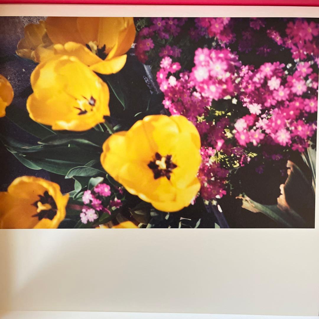 フィルムカメラ Rollei 35 S 10th Anniversary