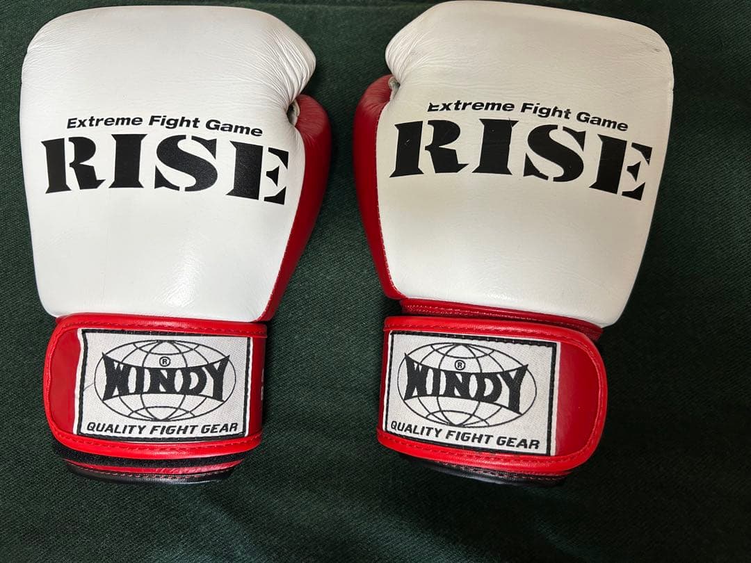 WINDY ボクシンググローブ 8 oz. BGVH