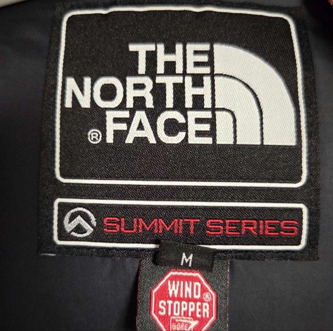 THE NORTH FACE SUMMITシリーズ 700 M 海外限定　ダウン
