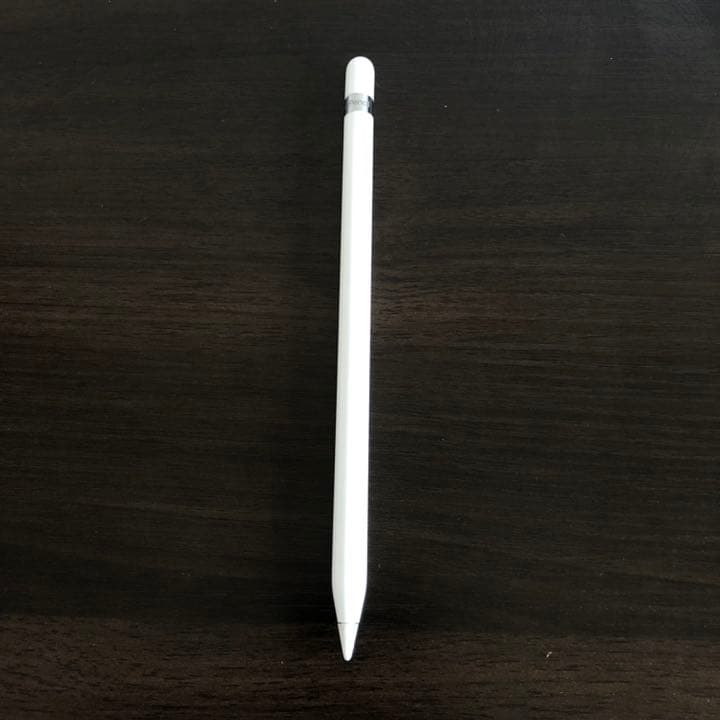 値下対応　iPad mini 5 64G Apple Pencil付き おまけ付